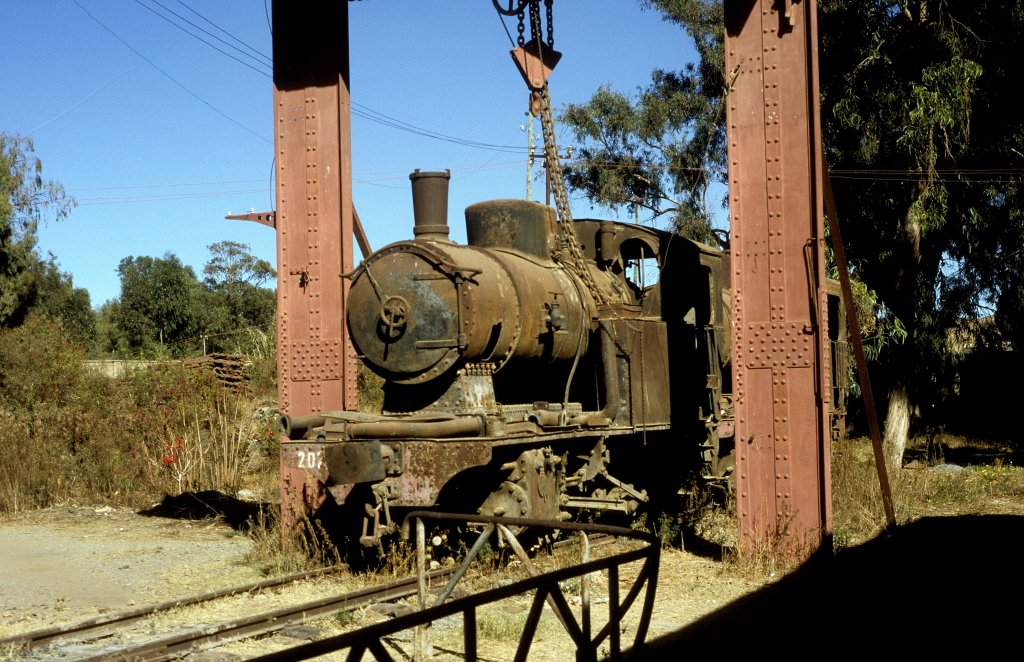 202 009  Asmara  06.02.05