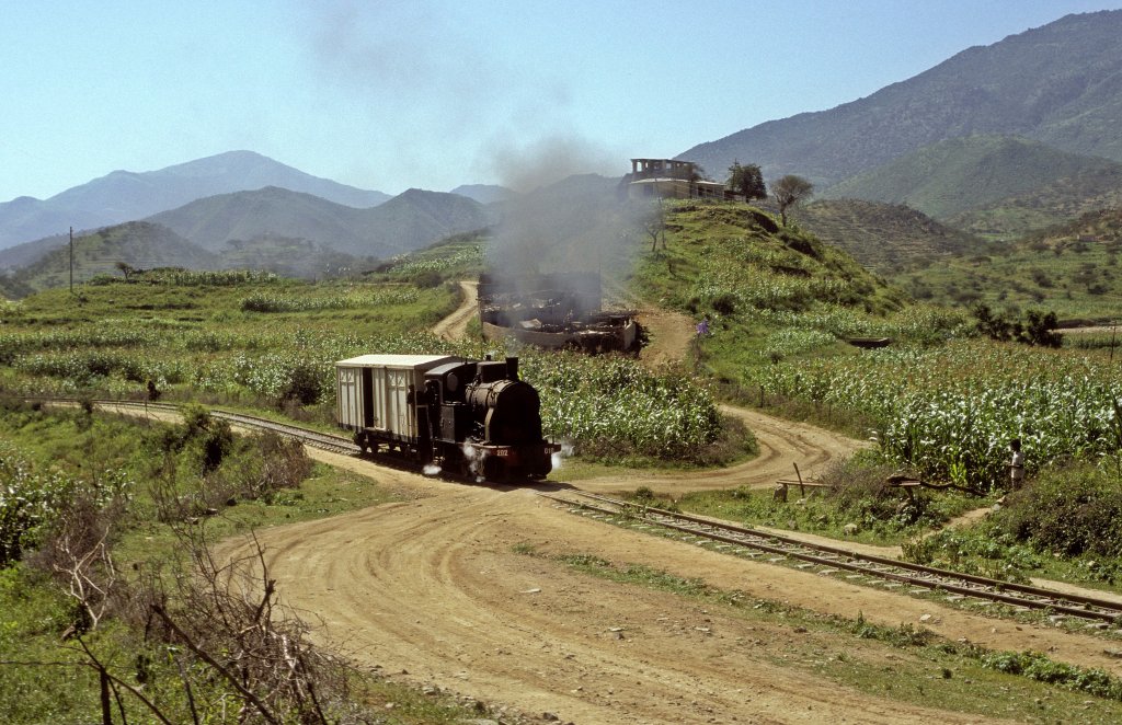 202 010  bei Ghinda  11.02.05