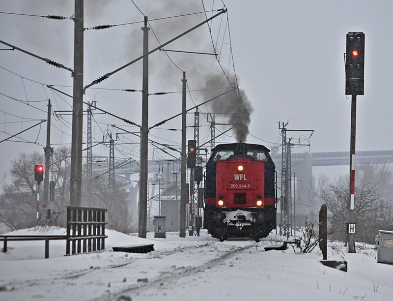 202 264 der WFL holt sich die nchsten leeren Holzwagen vom Bf Stralsund Rgendamm und bringt sie in den Stralsunder Sdhafen am 10.02.2010