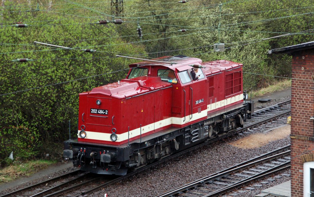 202 484 der PRESS rangiert am 15.04.10 im Rbf Engelsdorf.