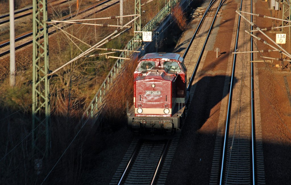 202 703 der LEG fhrt am 16.01.11 Lz durch Holzweissig Richtung Halle(S).