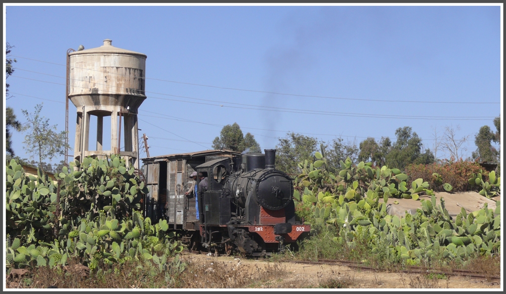 202.002 am Eingangstor zum Ausbesserungswerk Asmara. (31.01.2012)