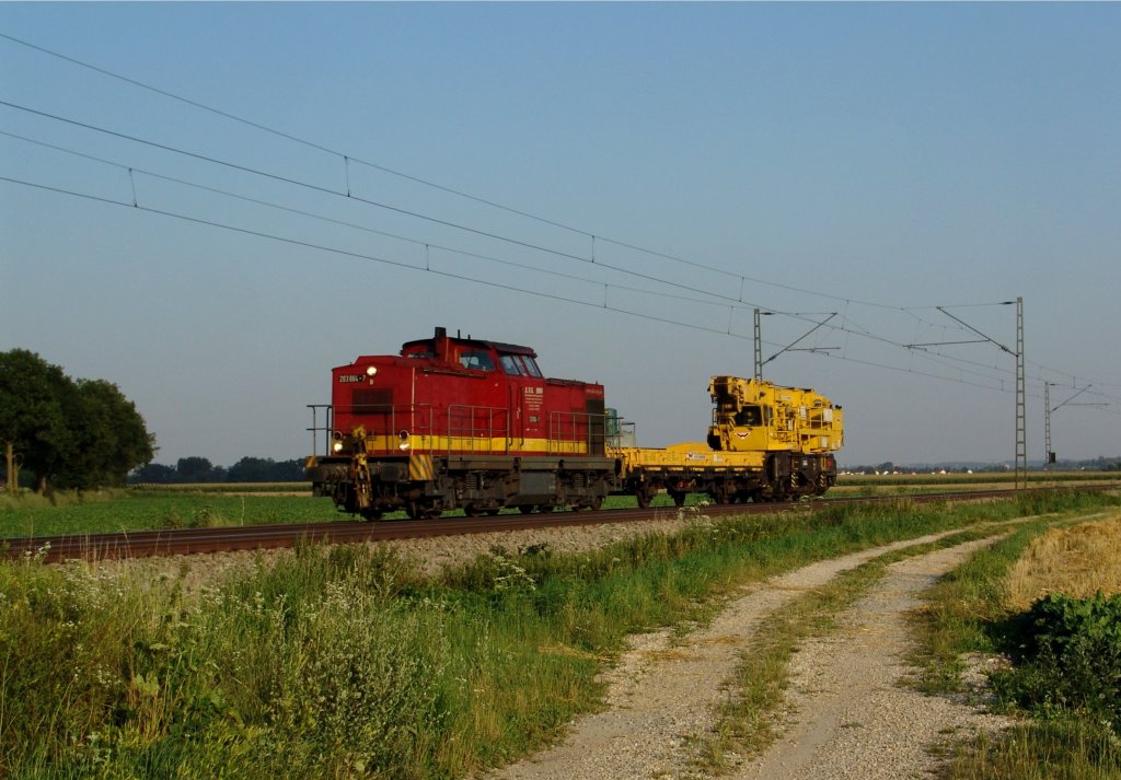 203 004 mit einem kurzen Bauzug am 17.07.2007 bei Langenisarhofen.