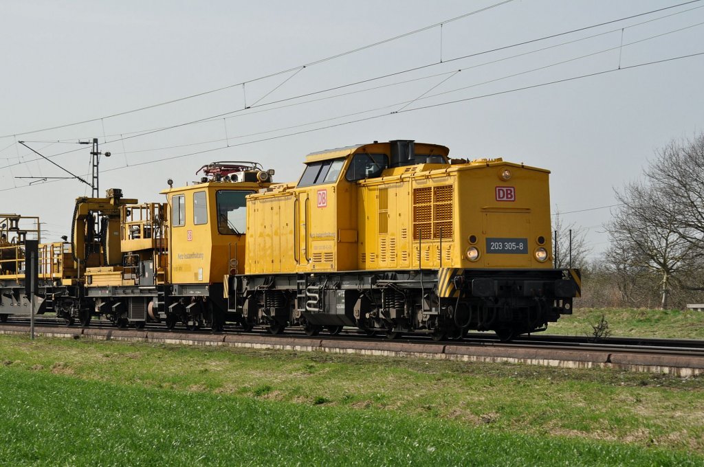 203 305 Waghusel 25.03.2011