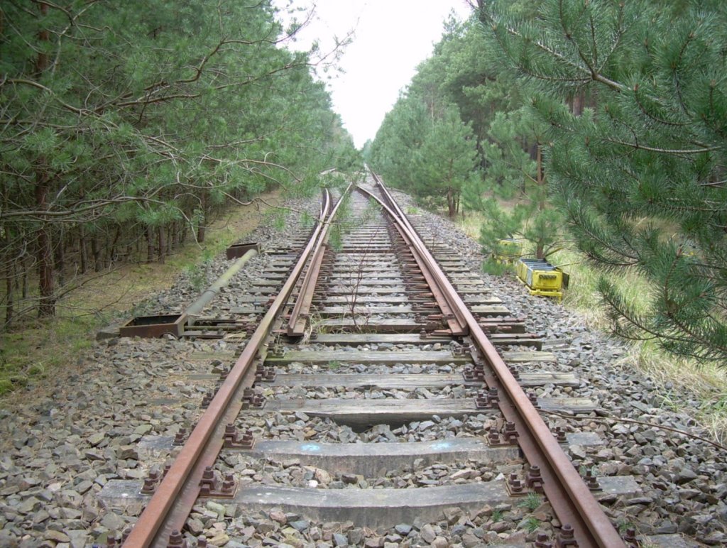 20.4.2008 Abzweig Fichtengrund Ost bei Oranienburg. Zusammenschluss der Abzweiggleise zur/von der Nordbahn. Links nach Or, rechts nach Fichtengrund. Die Weiche war mit Weichenschloss gesichert. Der Mittelverschluss weist darauf hin, dass nicht nur Bummelzge hier lang fuhren.