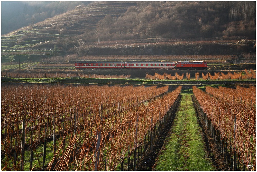 2043 005 mit Schlieren bei der Abschiedfahrt auf der Donauuferbahn von Linz nach Spitz. 
Spitz 27.11.2010

