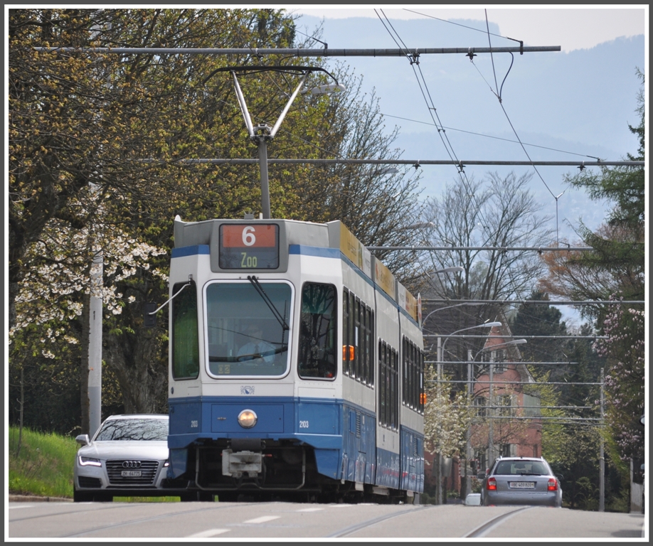 2103 Snfte im Aufstieg zum Zoo. (17.04.2012)