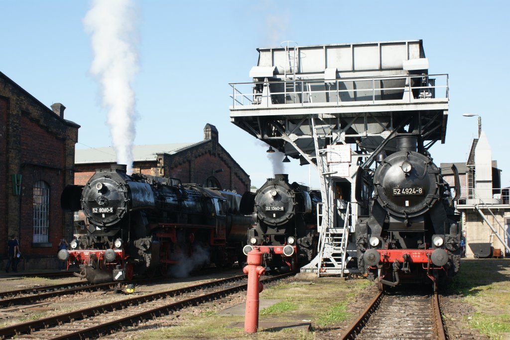 21.08.2010 - Heizhausfest in Chemnitz-Hilbersdorf - 52er-Parade unter dem Kohlebunker (von links 52 8080, 52 1360 und 52 4924)
