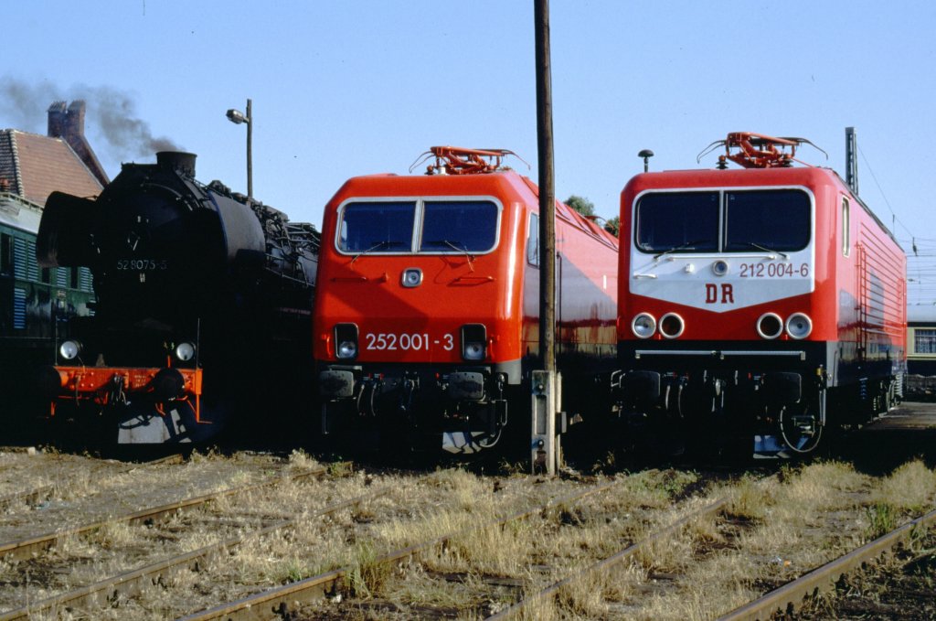 212 004-6, 252 001-3 und 52 8075-5 Bw Wustermark, Juli 1991 (hier wurden Fahrzeuge fr eine Fz-Schau in Berlin-Wannsee zusammengezogen).