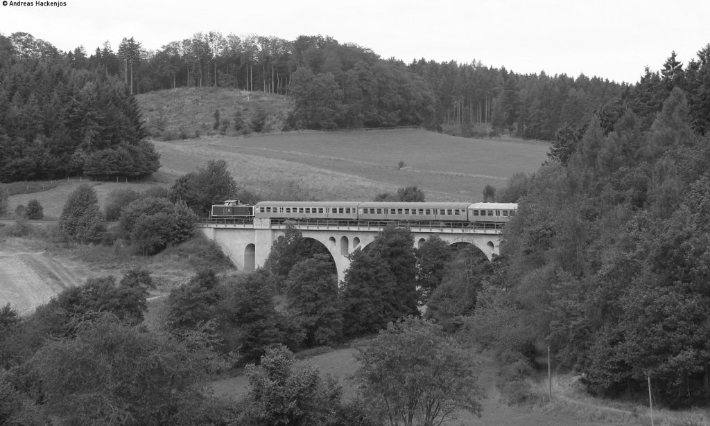 212 376-8 ihrem Sonderzug gen Willingen auf dem Viadukt bei Rhena 2.9.12