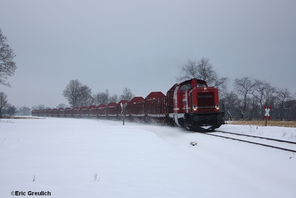 213 134 mit einem Holzzug bei Lindwedel am 6.1.10.