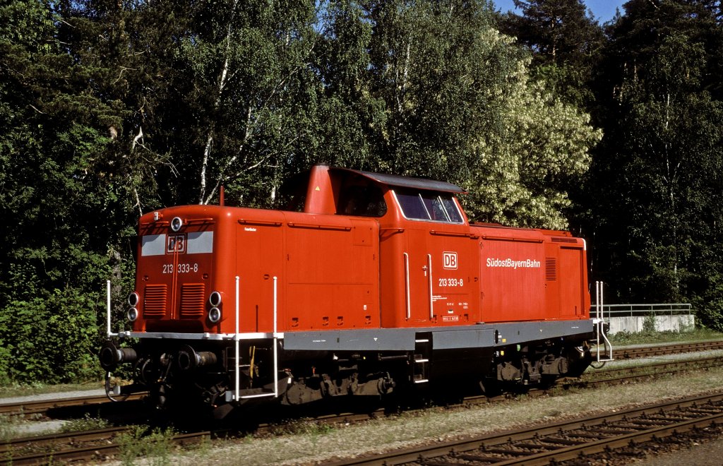 213 333  Kastl  30.05.03