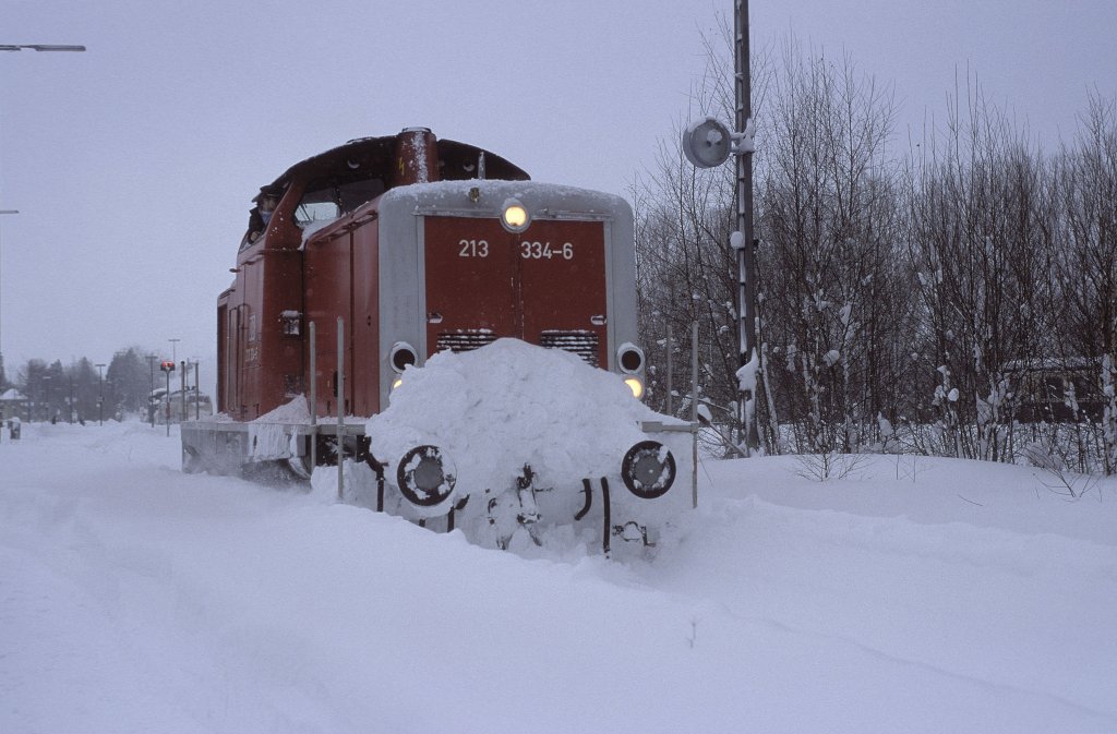 213 334  Freudenstadt Hbf  08.02.99