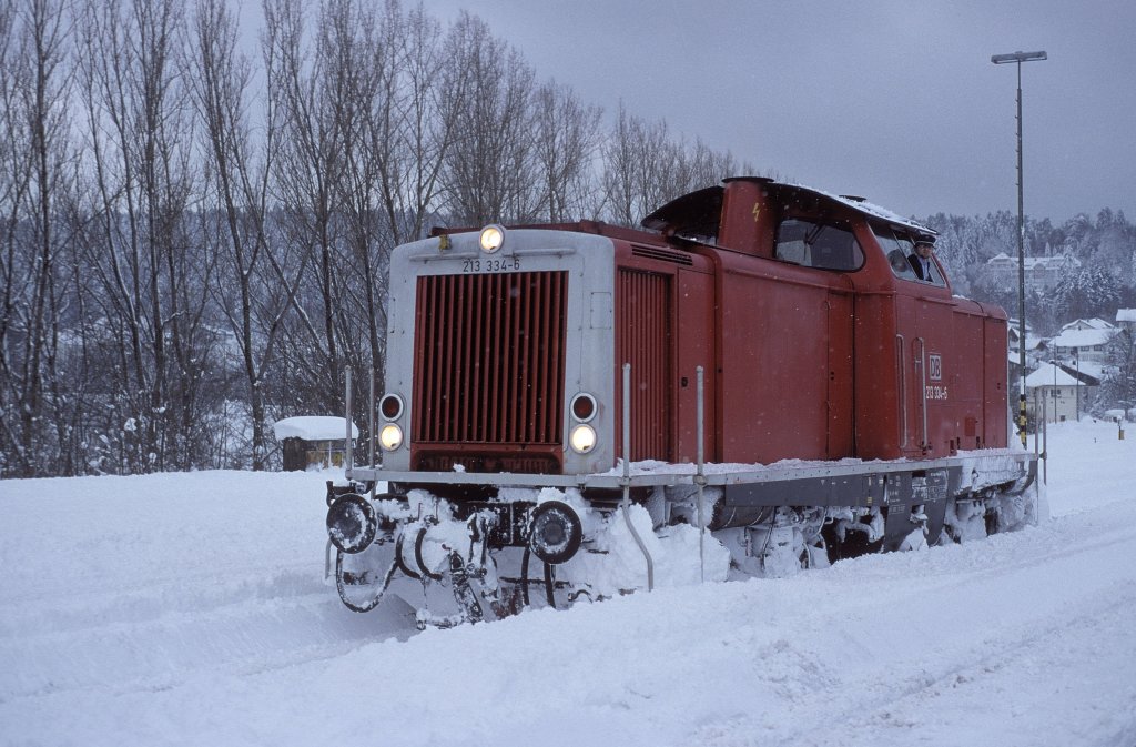 213 334  Freudenstadt Hbf  08.02.99