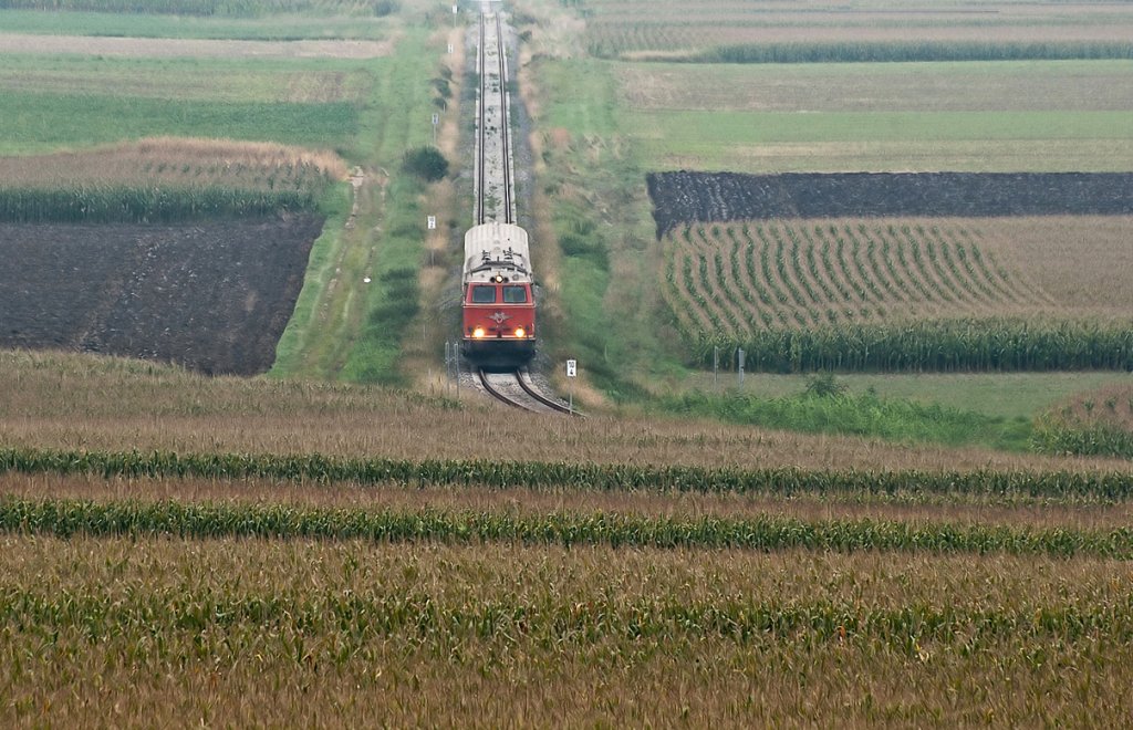 2143.35 war auch am 12.09.2010 mit dem NostalgieExpress  Leiser Berge  unterwegs. Hier mit dem REX 7388 kurz vor Mollmannsdorf. 