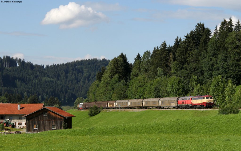 217 002-5 und 217 012-4 mit dem FS 45197 bei Obertalhofen 12.8.11