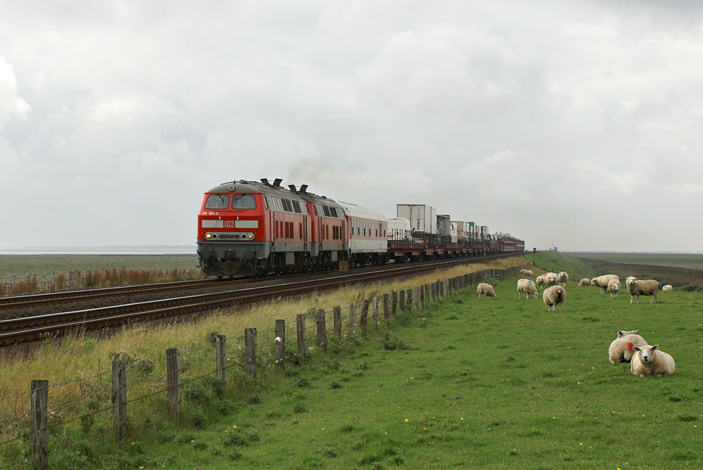 218 184-0 und eine Schwesterlokomotive ziehen am 26.08.2008 eine SyltShuttle-Garnitur gen Niebll.
