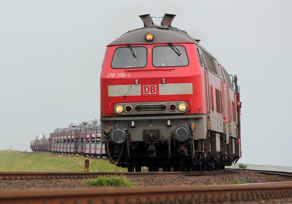 218 319-2 mit 218 xxx-x bei Morsum am 06.08.2011