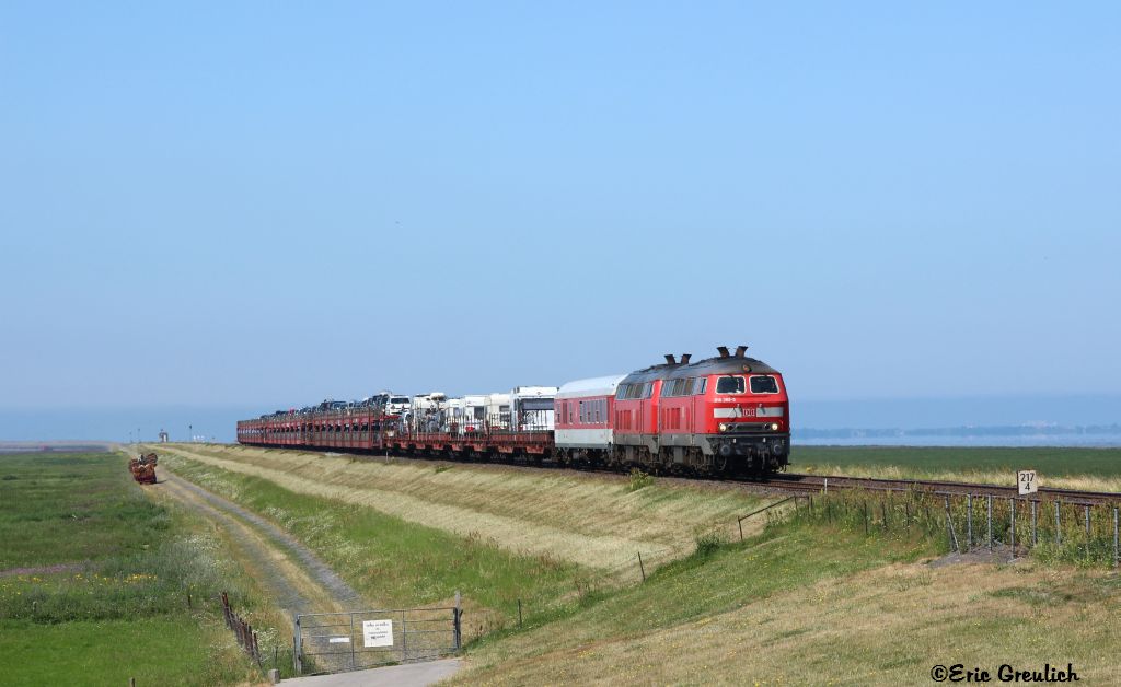 218 389 am 21.07.13. bei Friedrich-Wilhelm-Lbke-Koog.