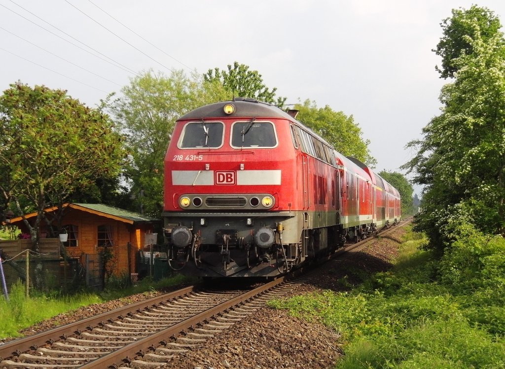 218 431-5 mit IRE 4214 von Lindau nach Ulm passiert am 25.05.2013 die Schrebergrten bei Eriskirch-Moos.