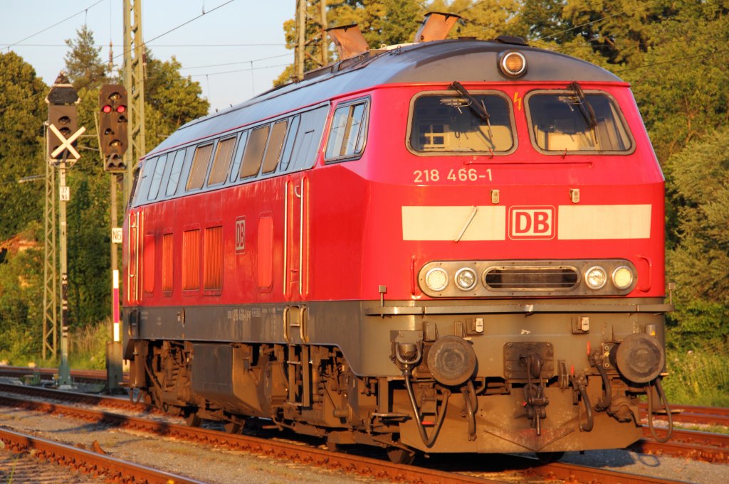 218 466-1 DB in Hochstadt/ Marktzeuln am 26.06.2012.