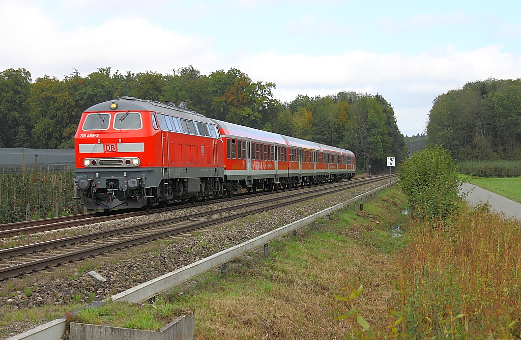 218 499-2 mit einem IRE Ulm-Lindau kurz vor Meckenbeuren (10.11.2011)