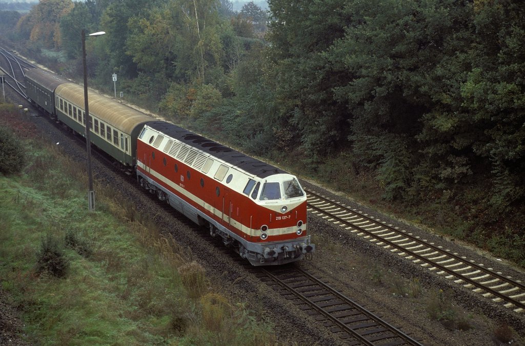 219 137  bei Zeitz  19.10.94