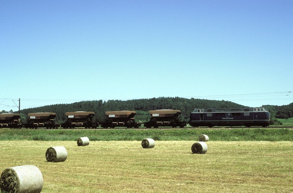 221 136  bei Burgau  19.06.05