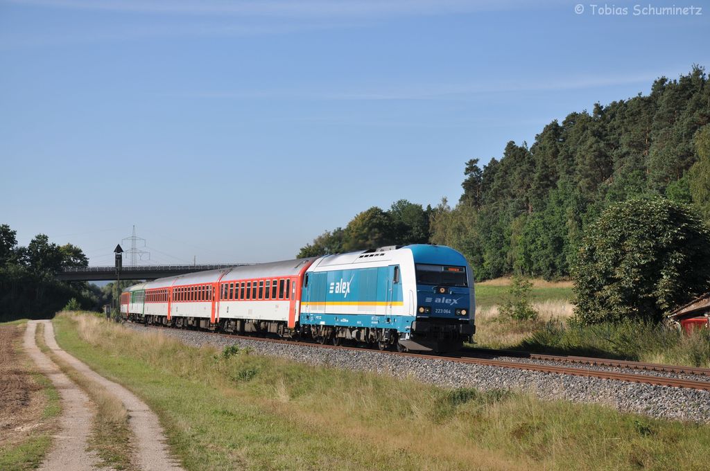 223 064 mit ALX350 am 12.08.2012 bei Richt