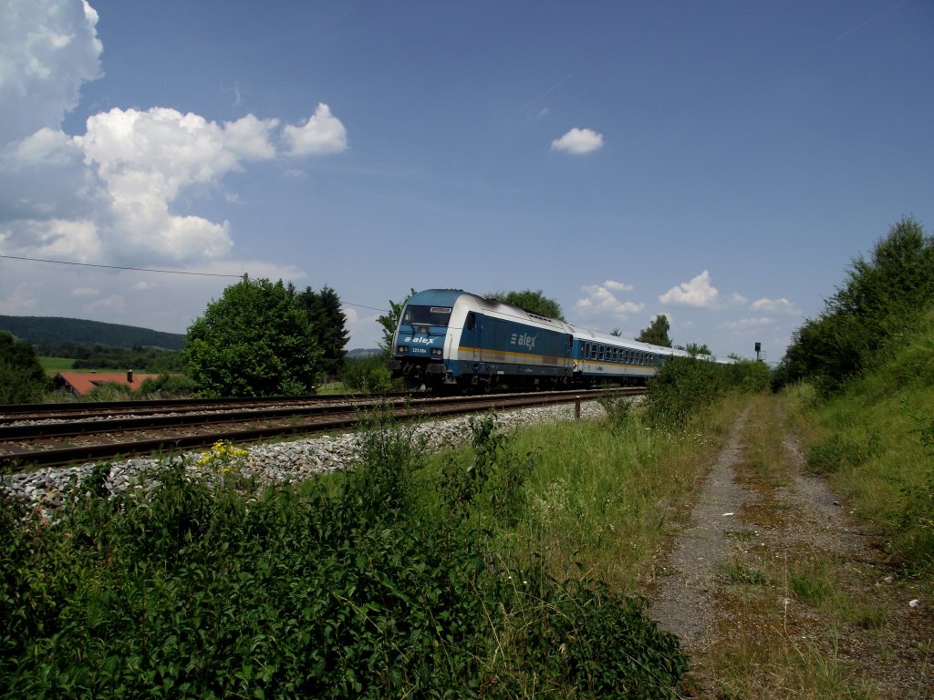 223 064 mit Netinera ALEX auf der Allgubahn am 23.07.13 bei Waltenhofen