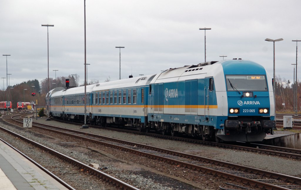 223 065 erreicht am 13.11.10 mit einem ALX aus Mnchen Hof. Danke fr´s Fernlicht!