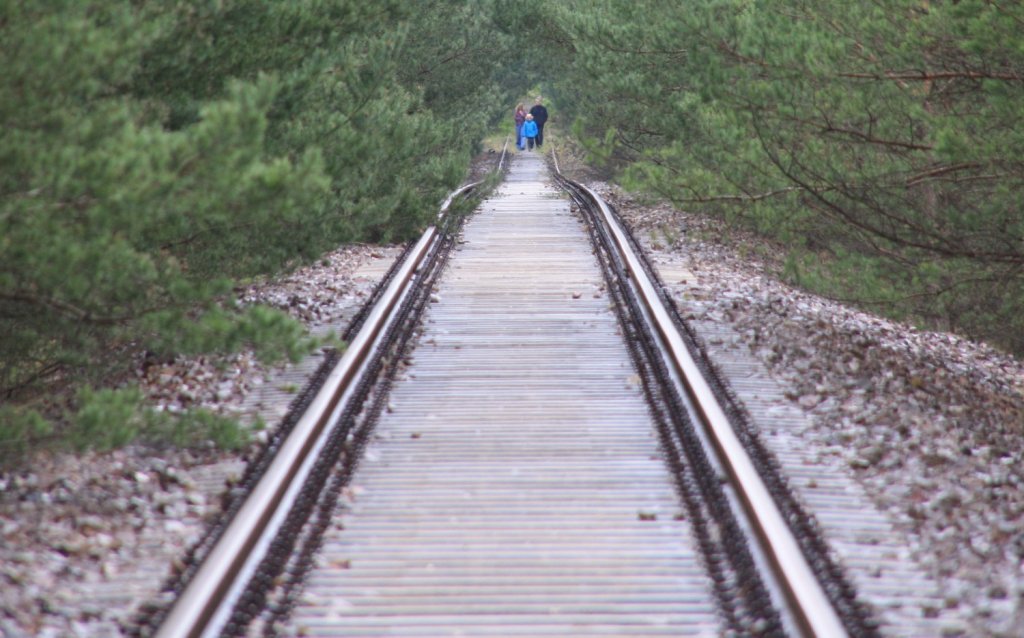 22.4.2012. Stillgelegte Umgehungsbahn Oranienburg / Fichtengrund - Wensickendorf, stl. der Oder-Havel Brcke. Erkennbar der Anstieg des Bahndamms auf Brckenniveau.
