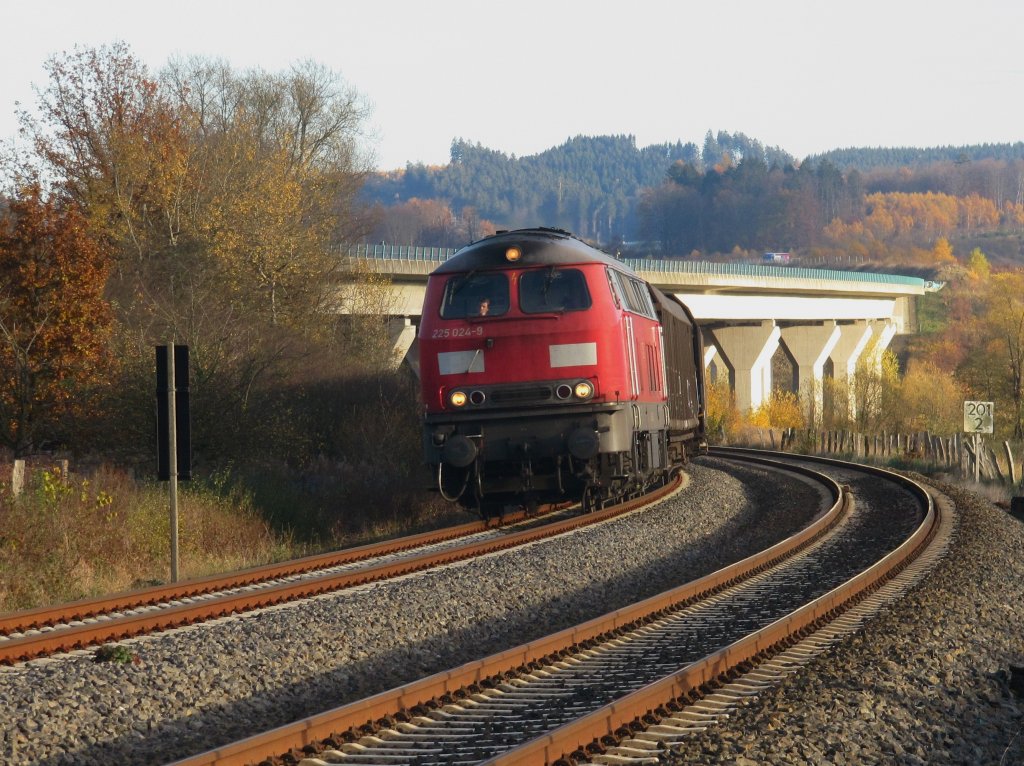 225 024-9 am 13.11.2012 mit einem Gterzug kurz vor Arnsberg-Uentrop.