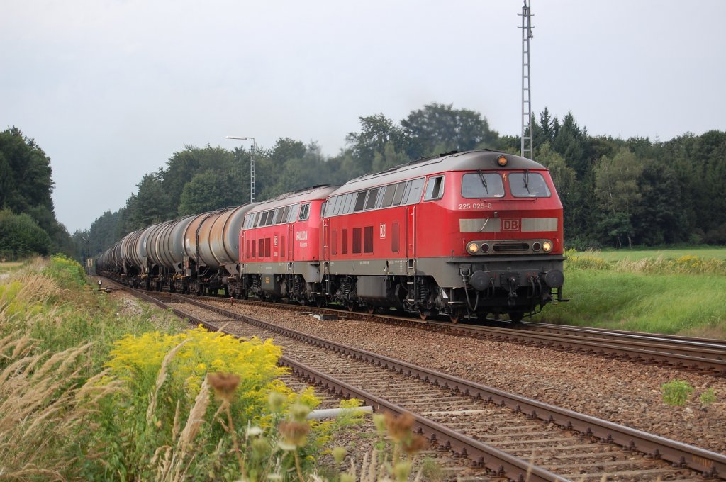 225 025-6 eine weitere Schwester-Lok und 233 551-5 schiebend, mit einem langen Kesselwagen-Zug, bei der Einfahrt in den Bahnhof Tssling, 23.08.2010. 