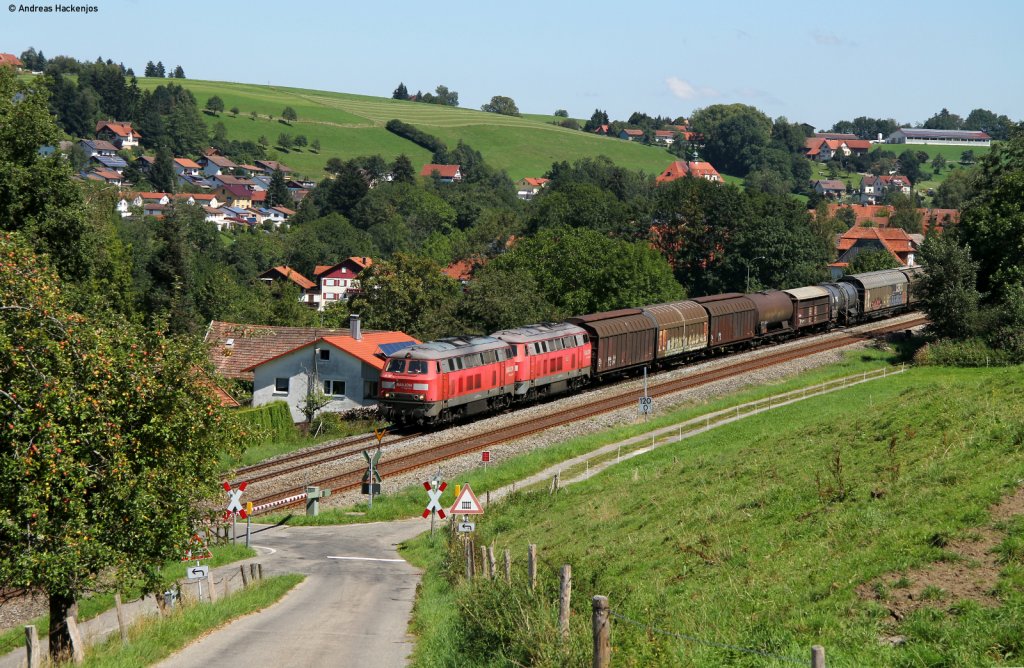 225 117-1 und 109-8 mit dem FS 45192 bei Meckatz 17.8.11