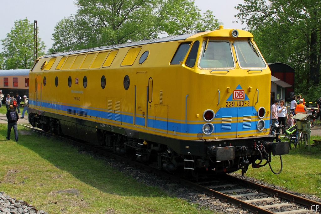 229 100-3 von DB Netz steht am 29.5.2010 ausgestellt im Bw Weimar.
