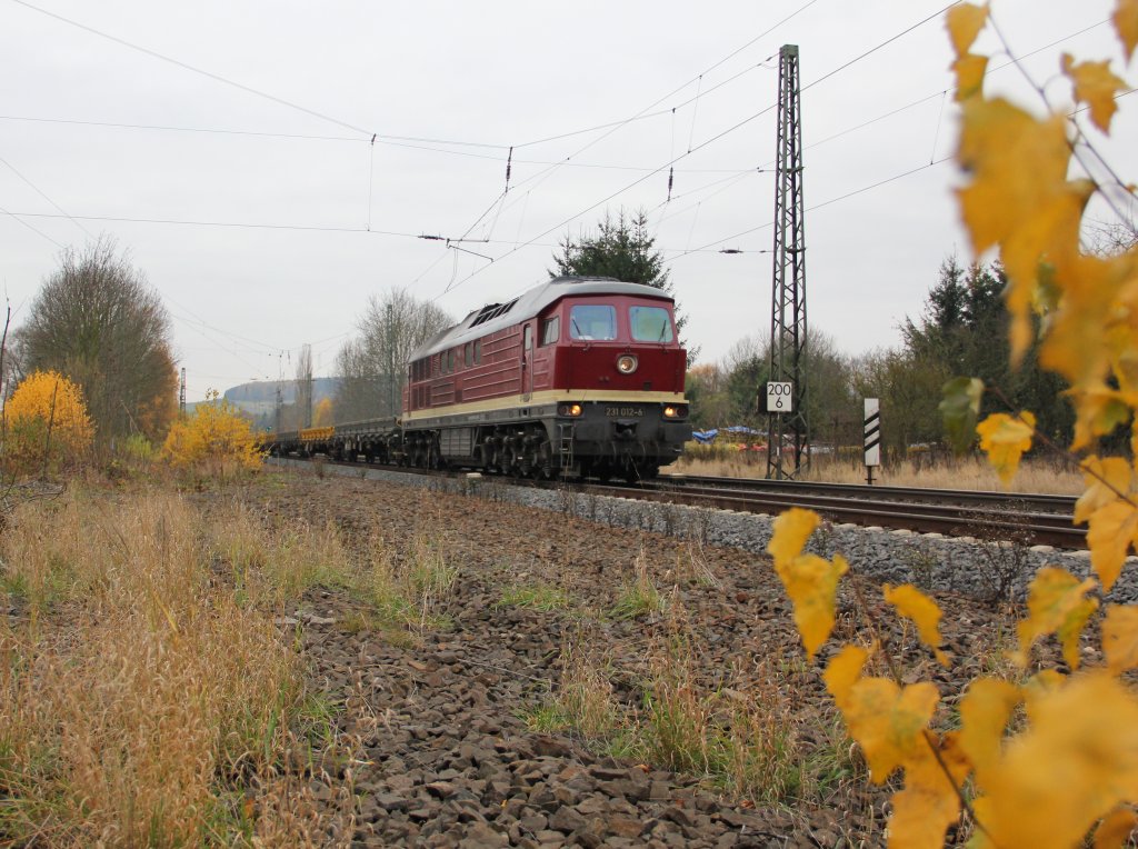 231 012-6 mit Flachwagen-Zug in Fahrtrichtung Norden. Aufgenommen am 09.11.2012 beim B Eltmannshausen/Oberhone.
