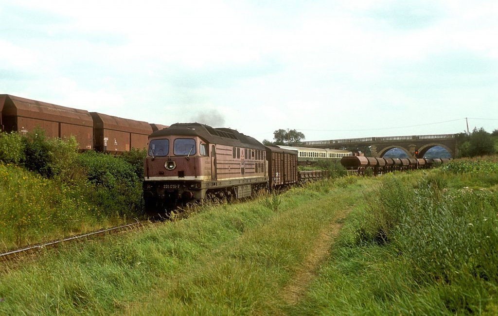 231 016  bei Zeitz  11.08.93