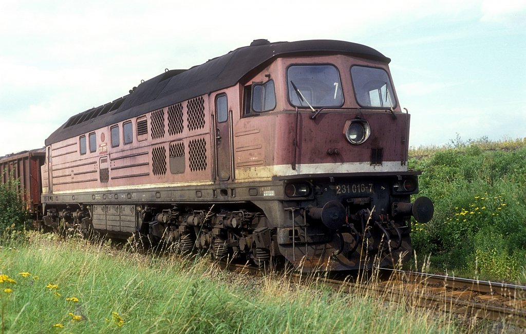 231 016  bei Zeitz  11.08.93