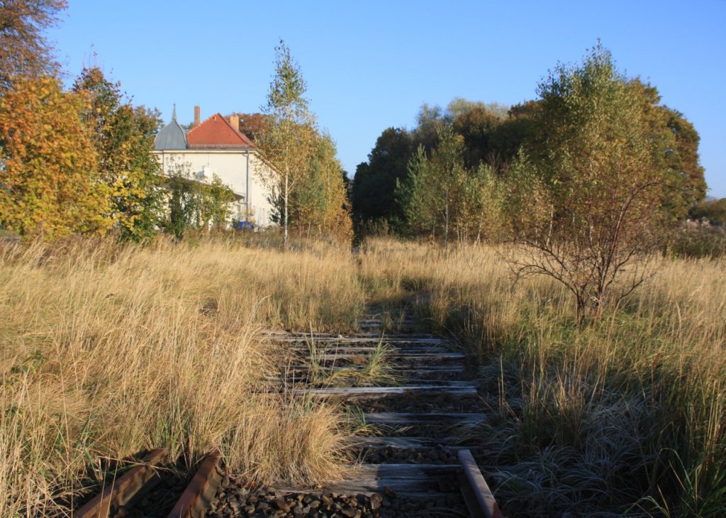 23.10.2011 Bahnhof Liebenwalde.
