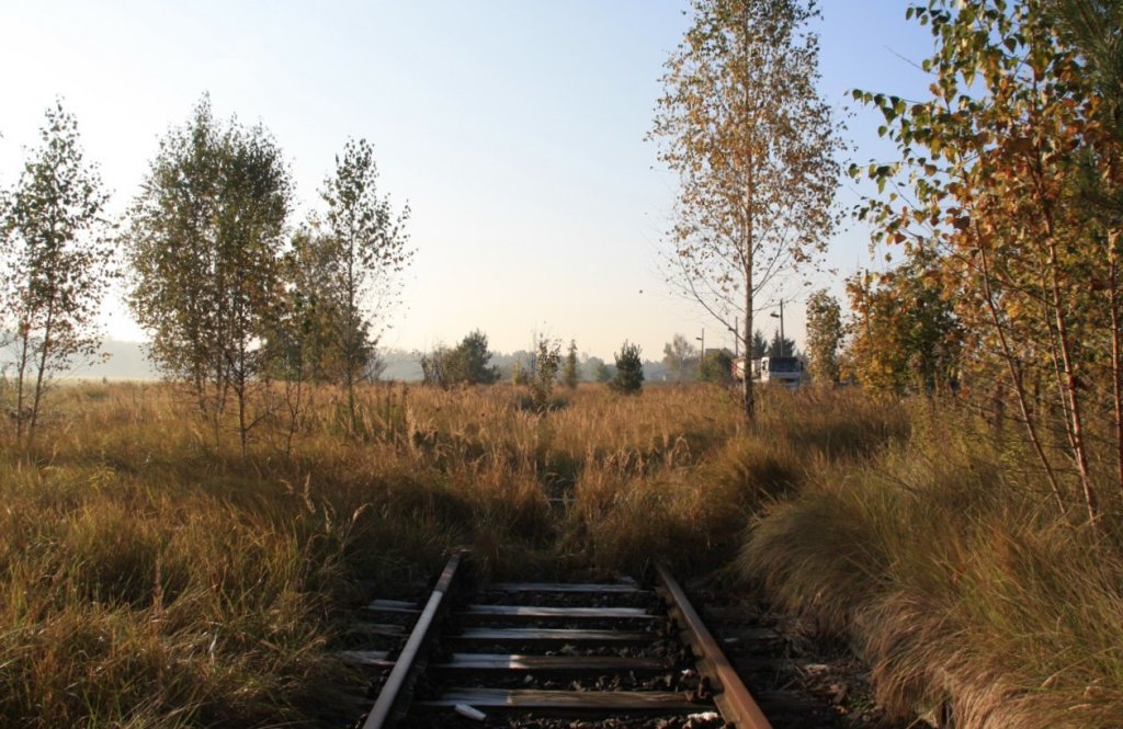 23.10.2011. Liebenwalde Blickrichtung sdwrts. Da, wo die Zge herkamen...