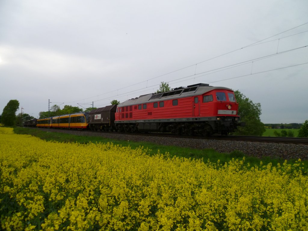 232 280 mit einer Straenbahn berfhrung am 16.05.13 nach Bautzen, hier in Syrau