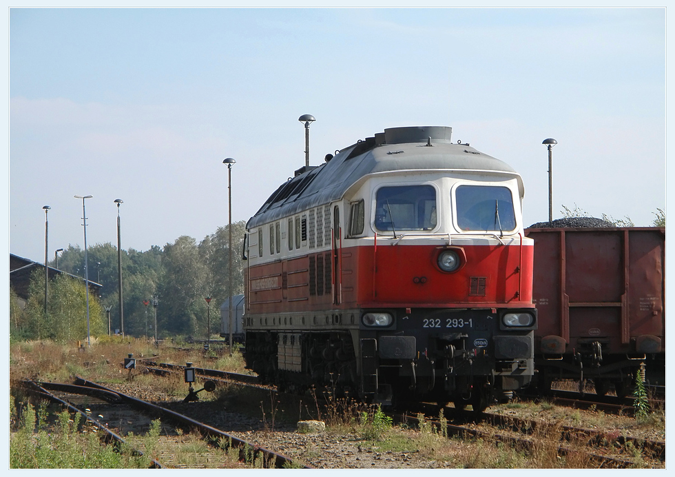 232 293 im Grenzbahnhof Horka am 24.09.2010