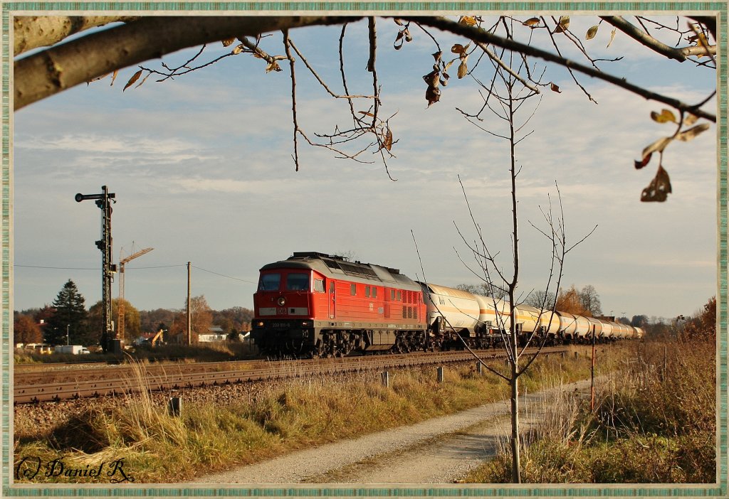 232 311 mit ein paar Kesseln am 03.11.10 in T��ling. Sie lie� 2 GZ's und einen 628 vorbei ziehen. 