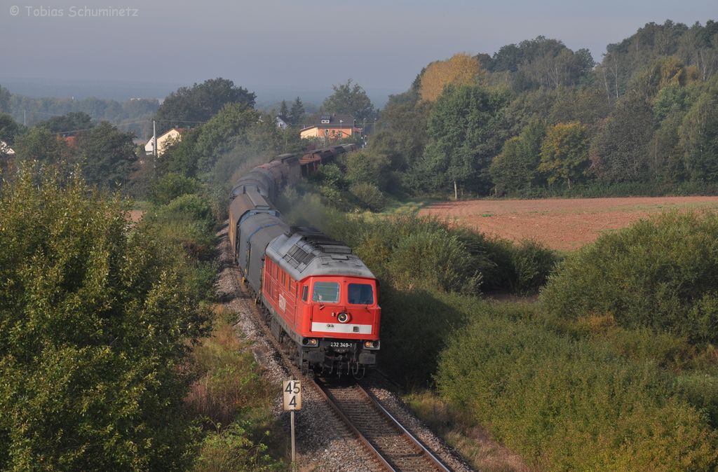 232 349 mit Umleiter-Gterzug bei Etzenricht am 29.09.2011