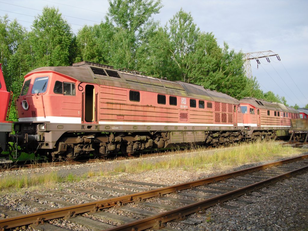 232 397-0 und 232 640-3 stehen am 20.06.10 in Espenhain und warteten auf den Tag ihrer Verschrottung. Bis vorkurzen noch in jahre lang in Mukran gestanden.