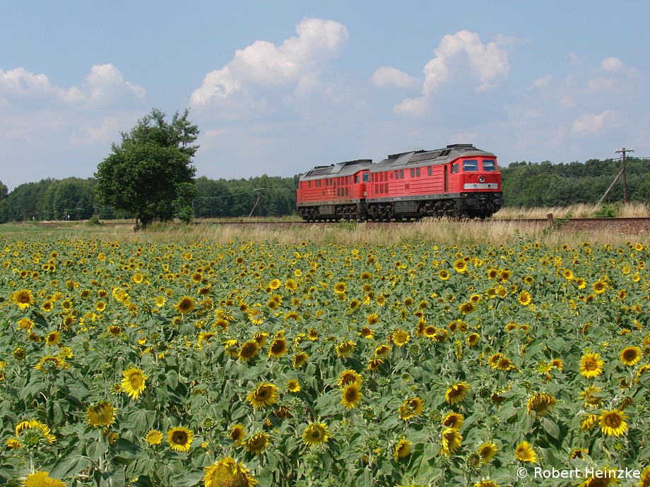 232 461-4 und 232 693-4 am 14.07.2010 in Horka