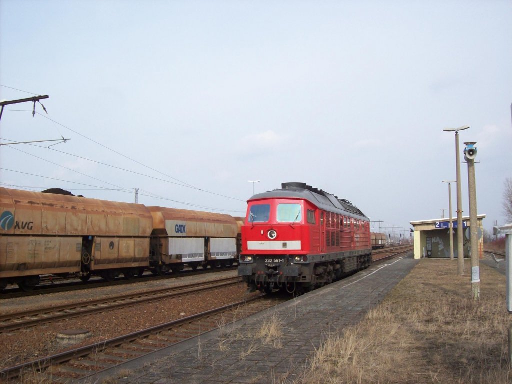 232 561-1 fhrt am Haltepunkt Profen vorbei in Richtung Zeitz 17.03.2010