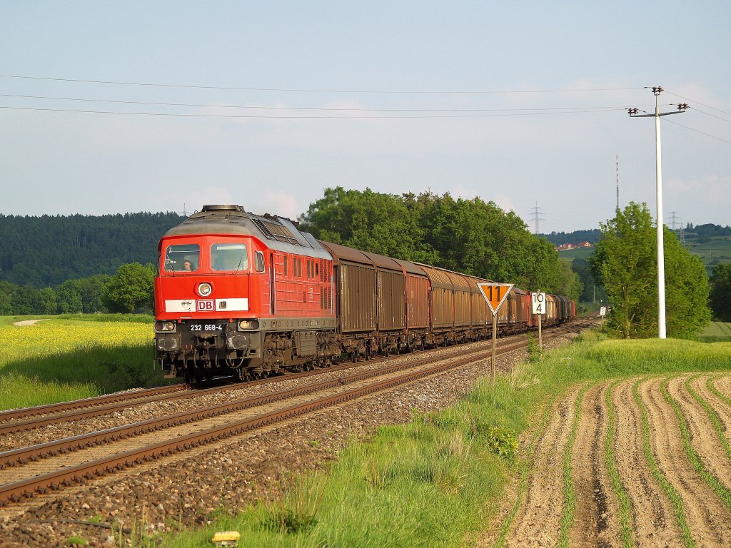232-668 am 29.05.2010 in Zeitlarn mit einem Umleiter Gterzug 