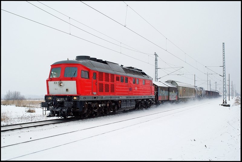 232 903-5 durchfhrt mit dem 53202 von Stralsund nach Rostock-Seehafen am 19.01.2010 die Ausweichstelle Langendorf.